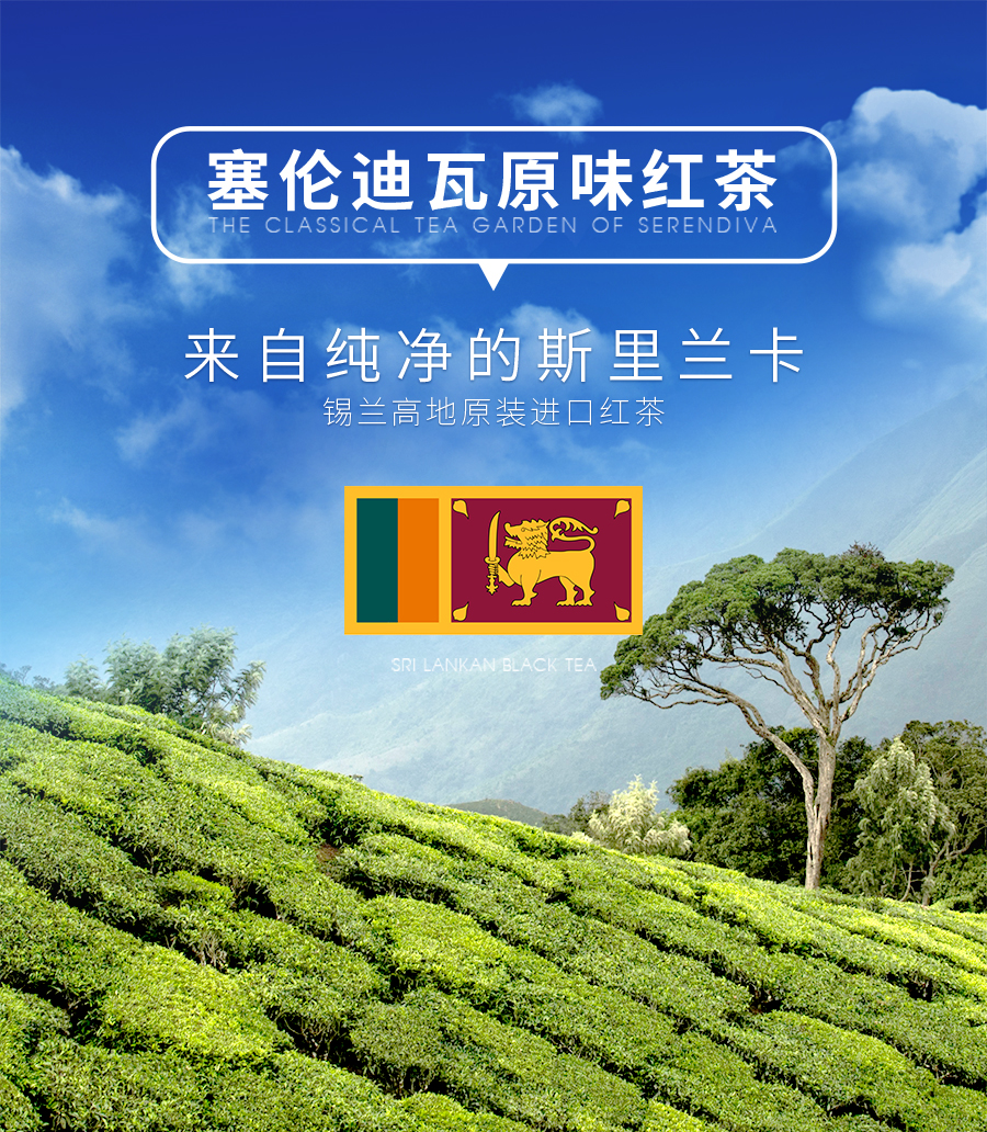 serendiva赛伦迪瓦斯里兰卡进口红茶锡兰高香红茶原瓶原装进口早茶