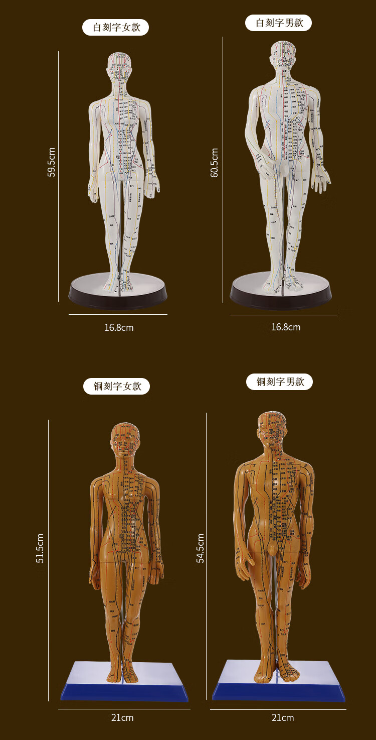 臨寶得樂中醫針灸穴位人體模型人偶醫學全身十二經絡圖扎針練習小皮人