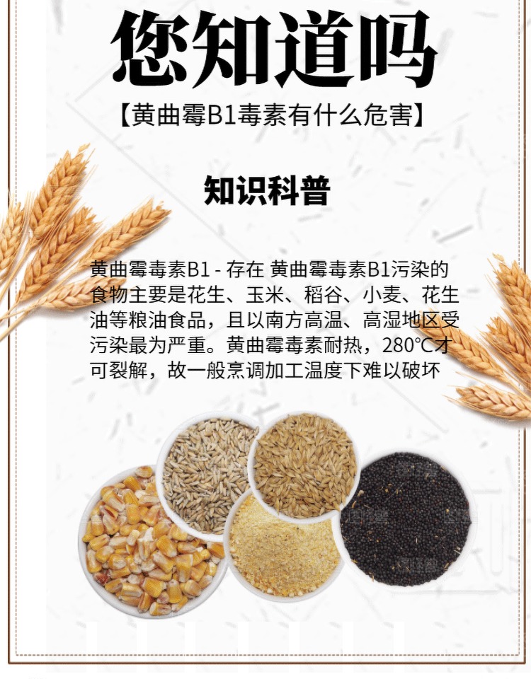 黄曲霉毒素b1检测卡试纸饲料猫粮粮食谷物花生油茶叶酵素sn8823 3条