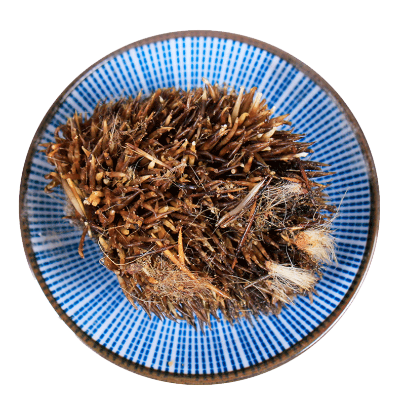 皇恰烫刺猬皮猬皮刺鼠皮猬鼠皮刺球子皮仙人衣刺球子皮毛刺中药材500g