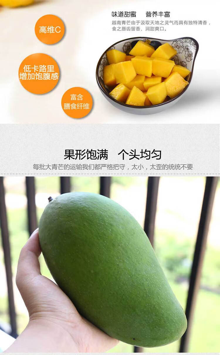 鲜滋味当季新鲜金煌芒玉芒大青芒当季新鲜水果芒果精选3斤装