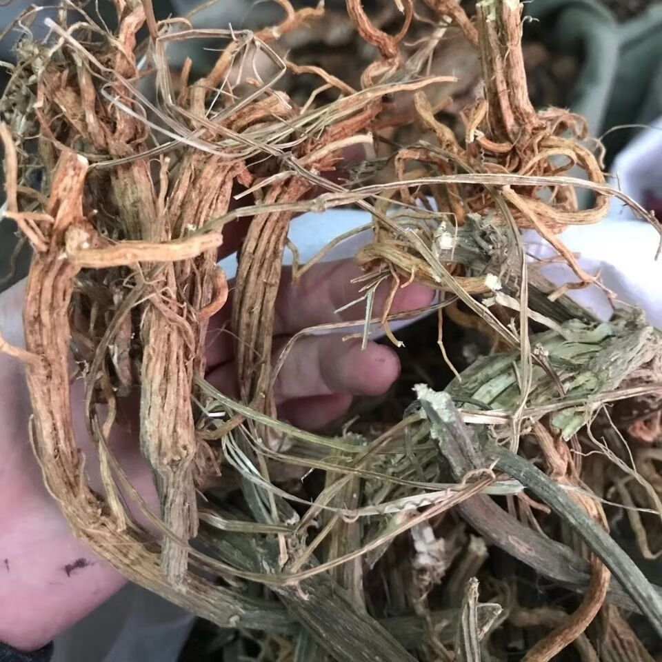 中药材 苦瓜根 特价500克苦瓜根干 另有苦瓜干 苦