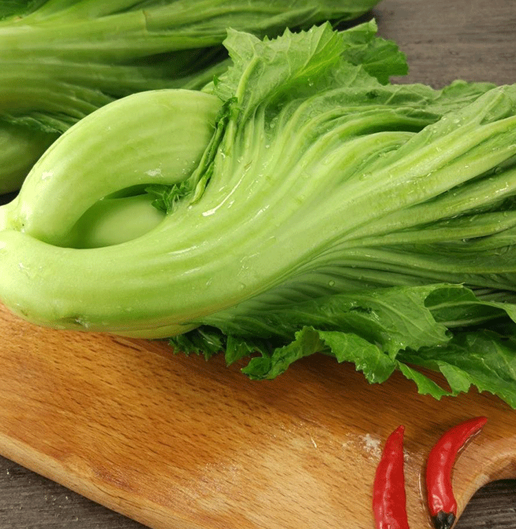 水东鸡心甜芥菜广东特菜速生大肉包心芥菜味甜可腌制酸菜春季秋季 10