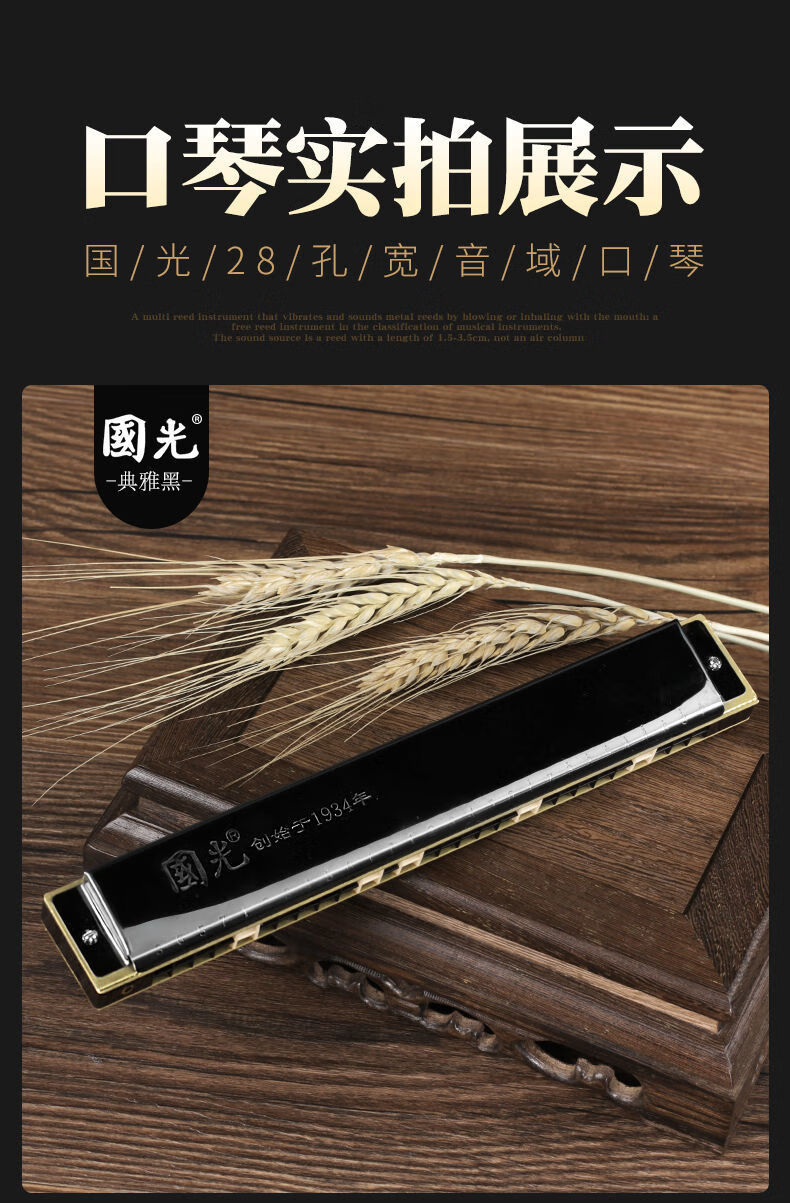 上海复音c调口琴专业演奏重音男女初学者24复音c调蓝色口琴原厂配置不
