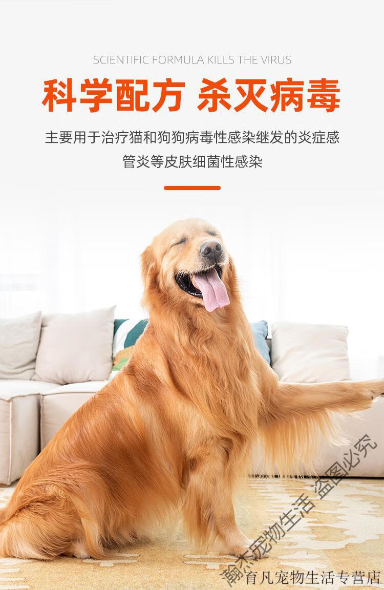 慢呼停宠物犬猫打喷嚏病毒细菌感染口炎肺炎腹泻流鼻涕支气管呼吸