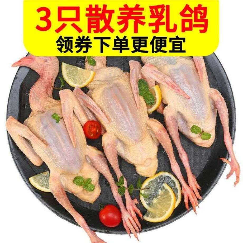 新鮮土鴿子散養乳鴿整隻生鮮冷凍烤乳鴿活體現殺鴿子肉3只裝300克每隻