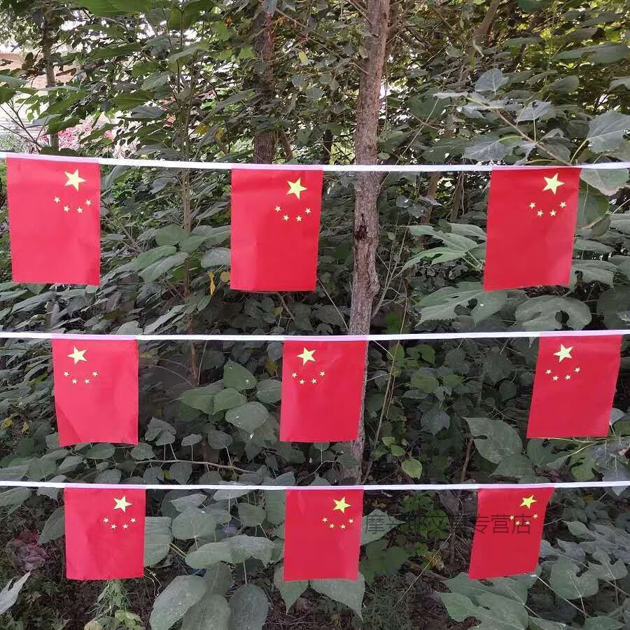 五星红旗旗子挂旗彩旗卖场国庆装饰批发 红绳五彩三角串旗25*16cm80米