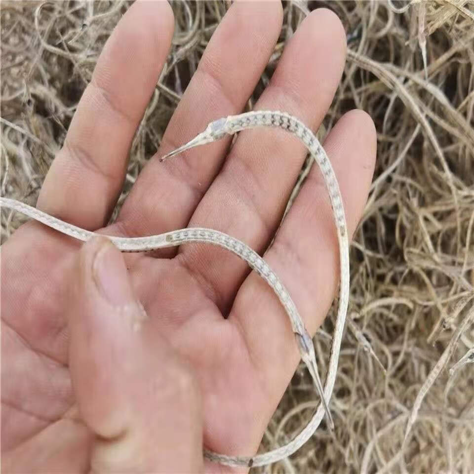 北京同仁堂原料小海龙干货大海龙干泡酒野生六角海龙干无硫中药材小