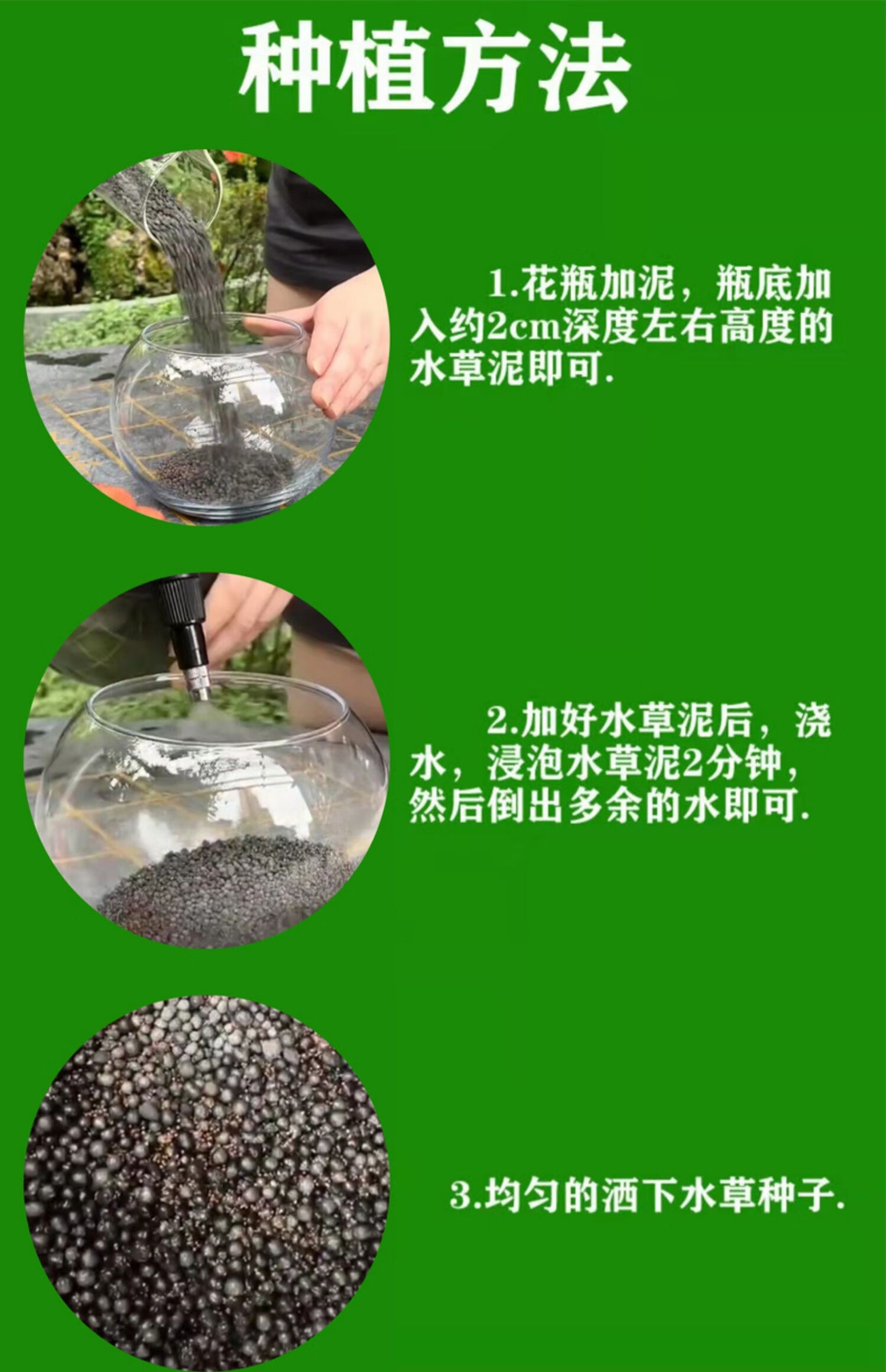 鱼缸水族箱免换水水草种子生态玻璃瓶真植物种籽盆栽套餐水培绿植装饰