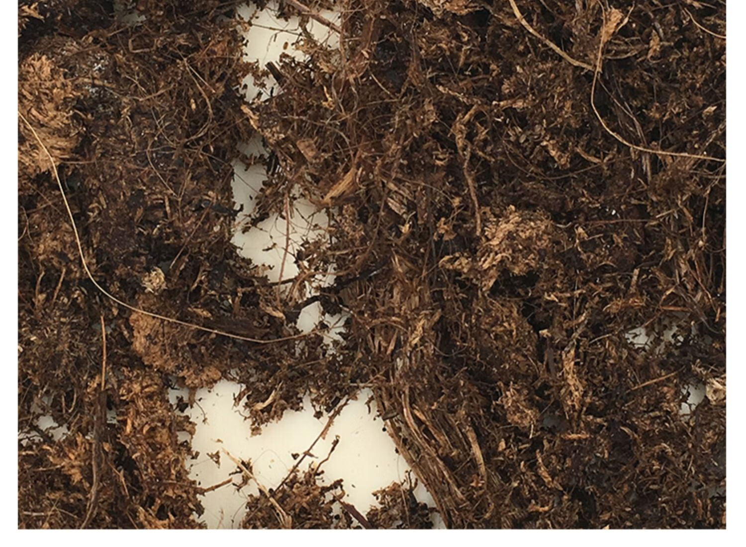 楠花绿坊丹麦品氏泥炭土进口纯多肉营养土种植土有机土花土草炭土