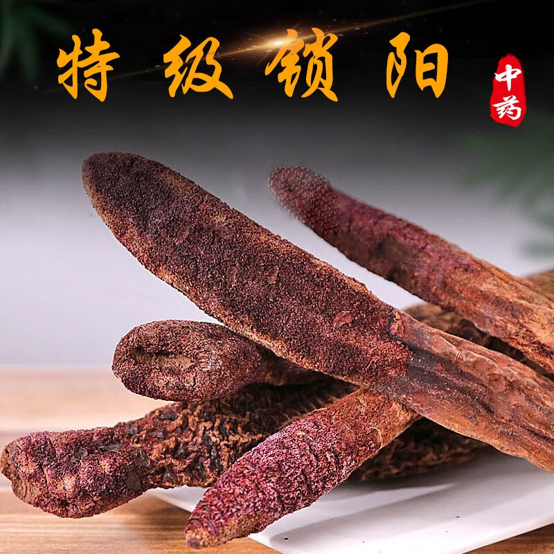 正宗阿拉善金锁阳500g名贵中药材男性滋补泡酒泡茶料锁阳个搭肉苁蓉