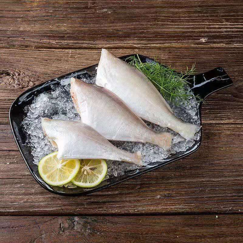 冷冻大号马面鱼1斤1条大号耗儿鱼鲜活扒皮鱼火锅食材去头去内脏1斤2条