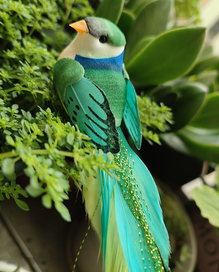 涞思芊仿真小鸟模型花园庭院创意布景幼儿园装饰品摆件羽毛彩色假鸟