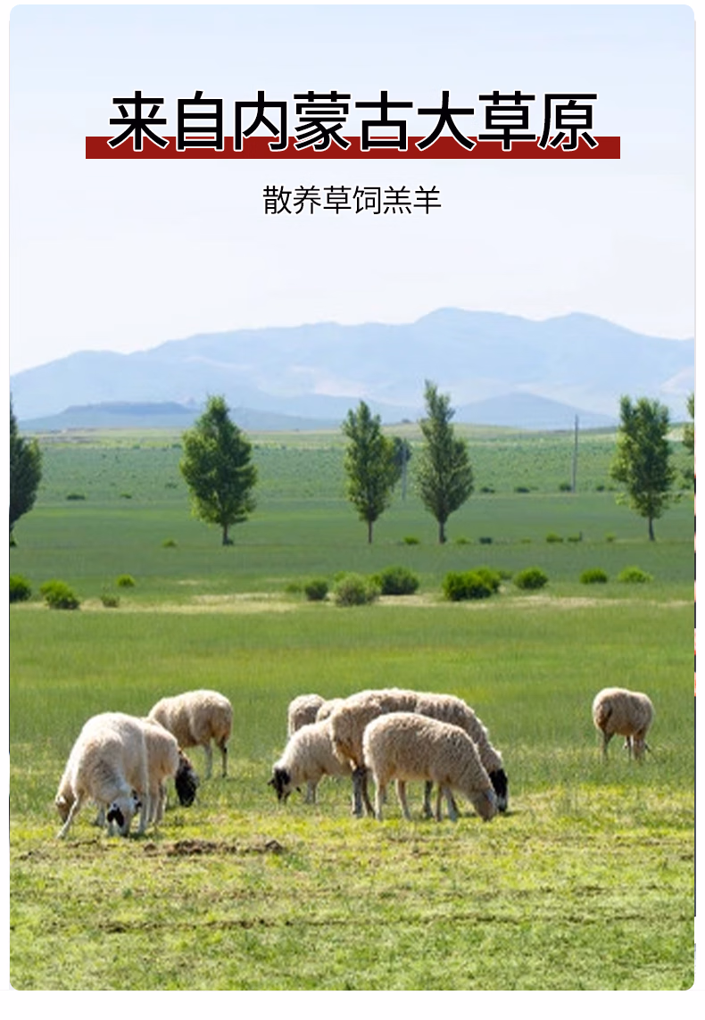 内蒙草饲羔羊，优咪特 原切法切羊排 1000g 99元包邮 值值值-买手聚集的地方