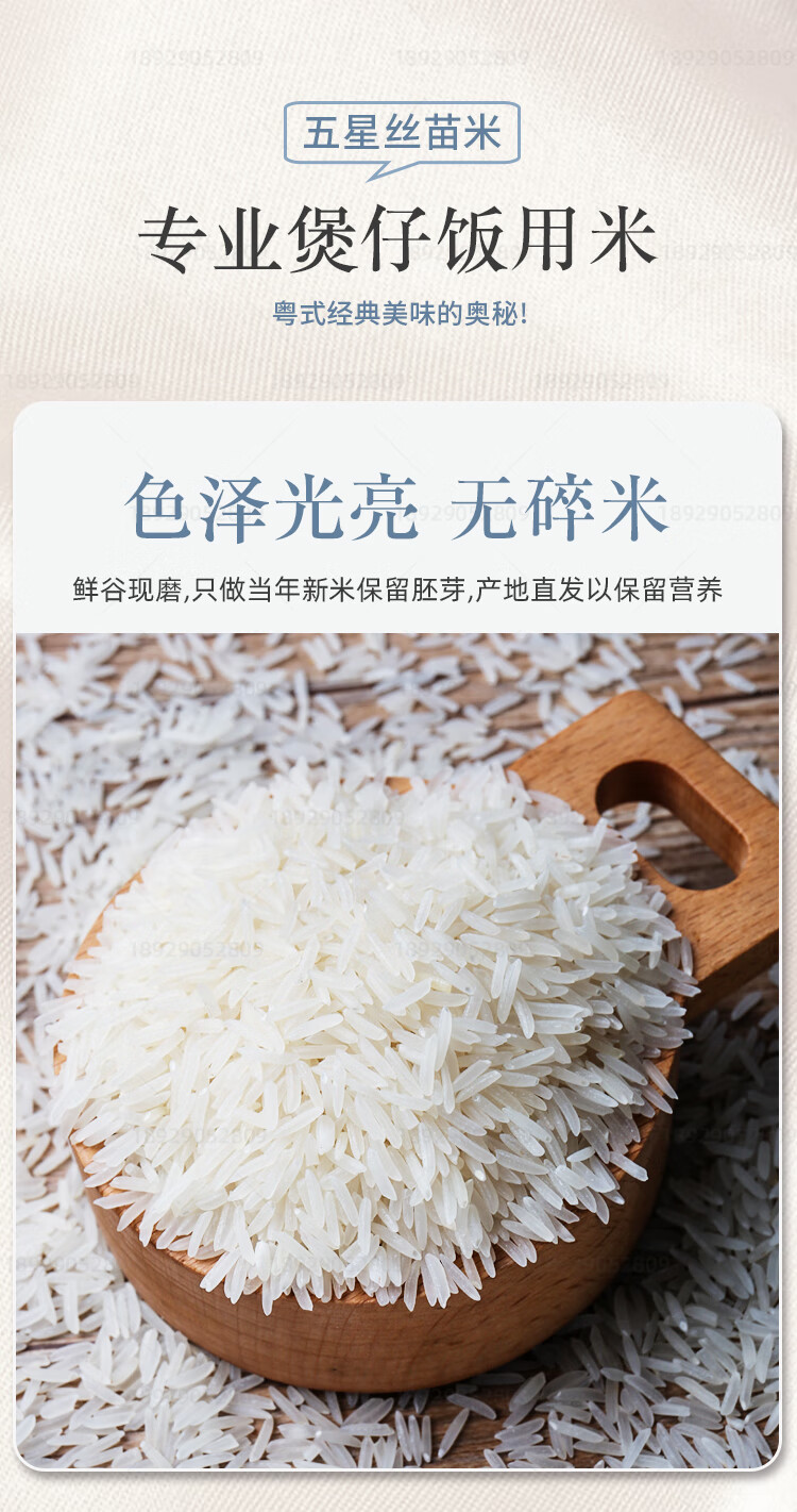 台山丝苗大米10kg21年新米五星广东象牙小农油粘米煲仔饭专用 【五星