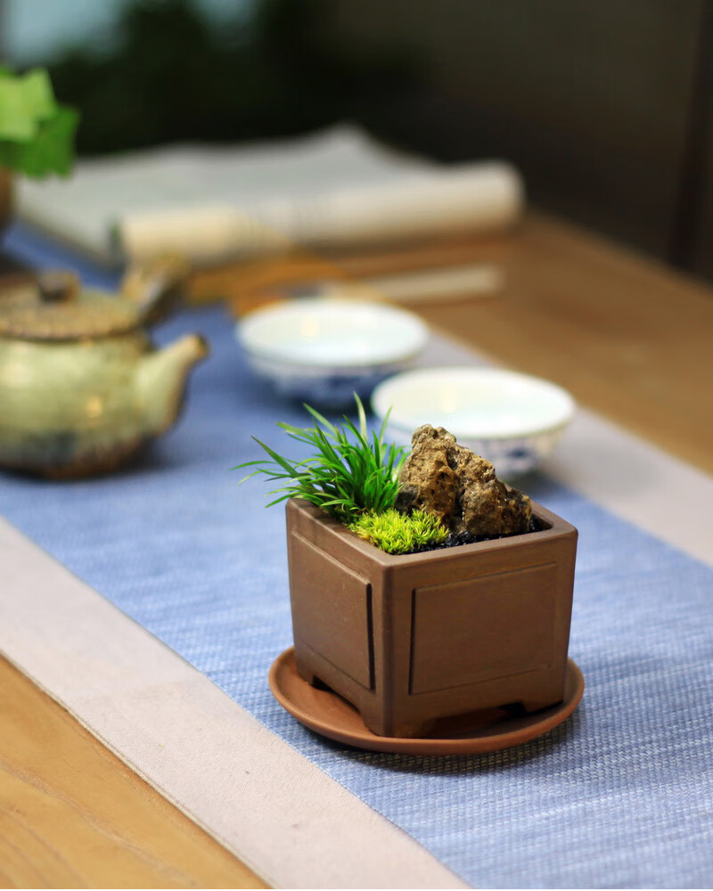 伴石金钱虎须菖蒲盆景蒲草苔藓紫砂茶桌办公桌面小盆栽绿植花卉长海棠