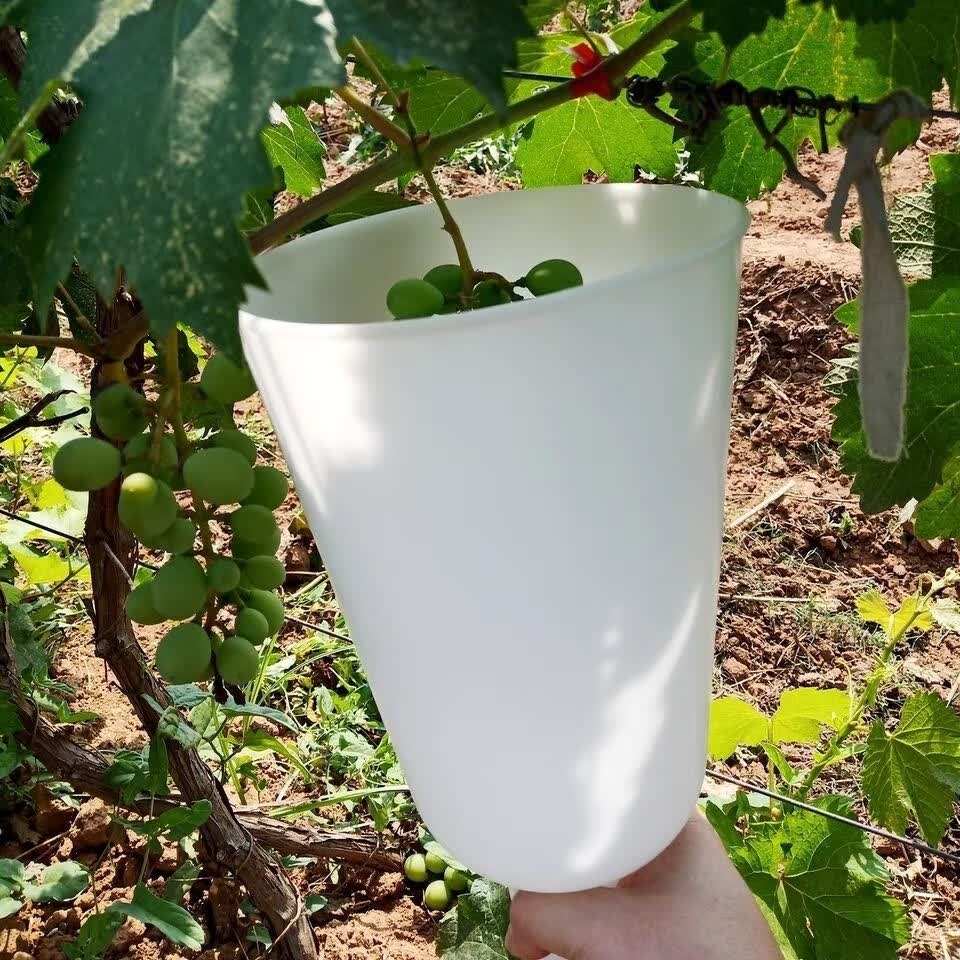 浸果器葡萄喷药器膨大剂浸果杯拉穗器蘸药杯膨果器拉串沾药神器 小号