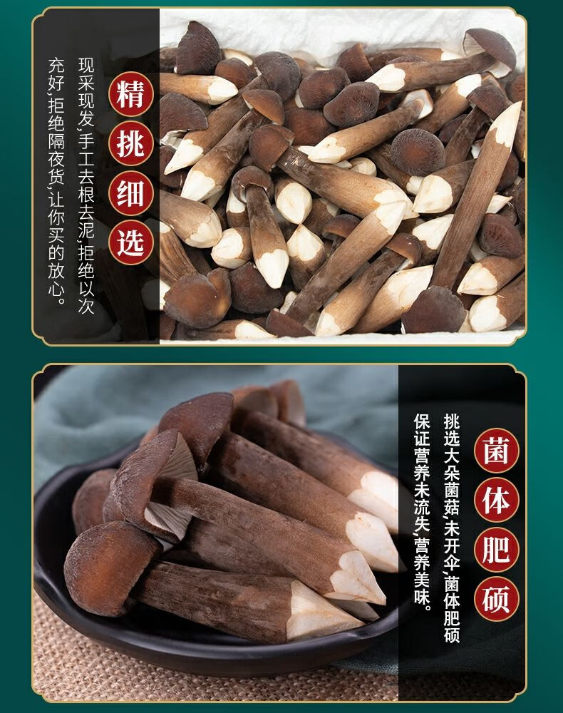 新鲜黑皮鸡枞菌食材新鲜鸡枞菌云南特产蘑菇普通品质新鲜现采黑皮鸡枞