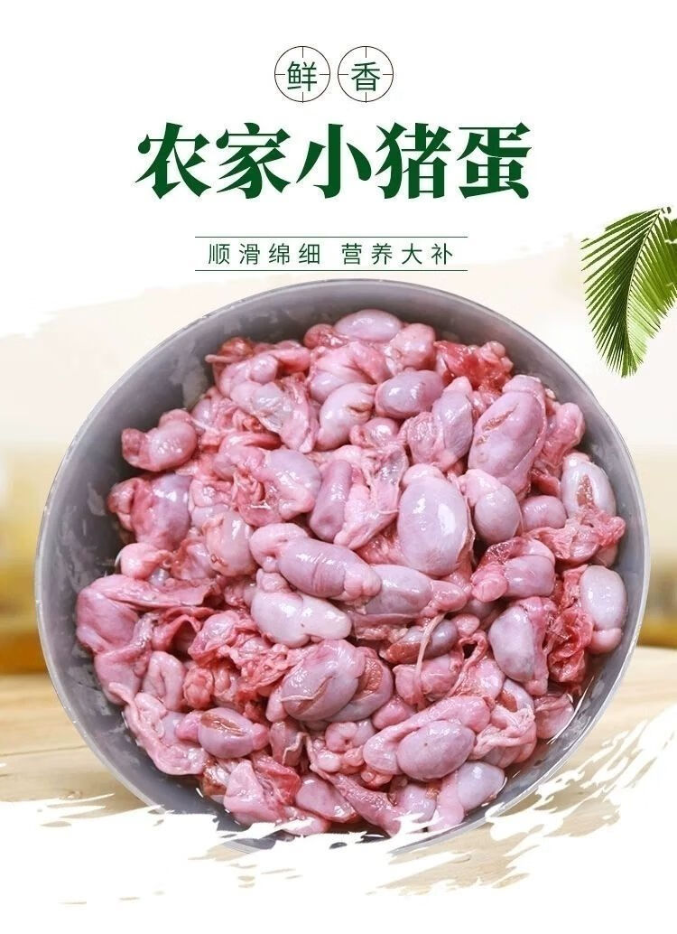 小猪蛋蛋30天小种猪睾丸无花肠小猪睾丸小猪宝小公猪睾丸子猪宝宝 带