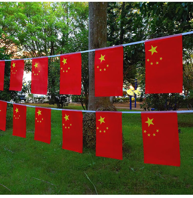 8号7号6号中国串旗党旗吊旗红旗悬挂国庆节室内装饰用品户外挂旗子