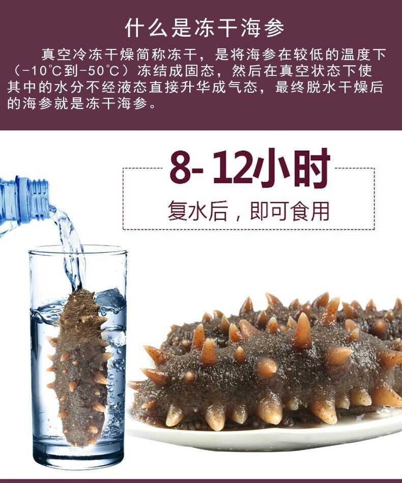 海参淡干冻干海参速发海参辽参礼盒海参锦祥橙500克一盒包装