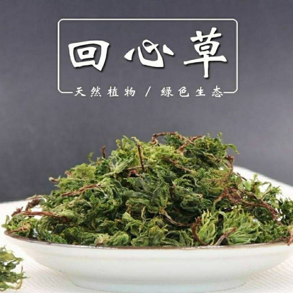 伟博2021新货云南回心草中药材回心草500g