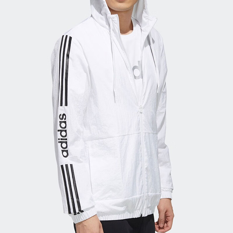 081db3974afee049.jpg