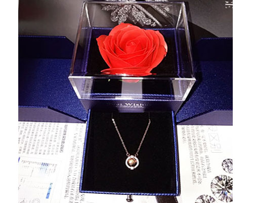 wishes玫瑰花礼盒bestwishes口红双层抽屉项链戒指单枝玫 项链款礼盒