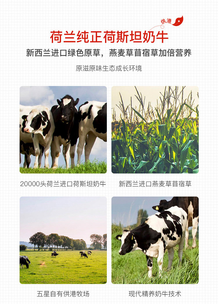 106087-晨光供港壹号纯牛奶250ml*12盒*2箱 3.6g原生优质蛋白 100%生牛乳 早餐奶礼盒装-详情图
