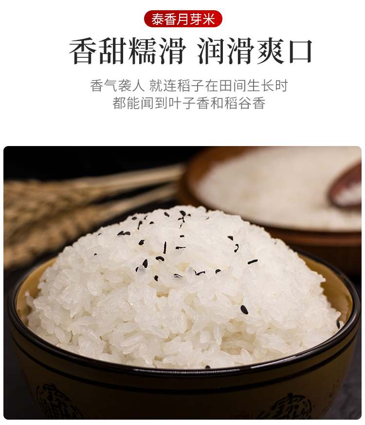 2021新米安徽大米50斤乡润南方丝苗米25kg煲仔饭炒饭专用