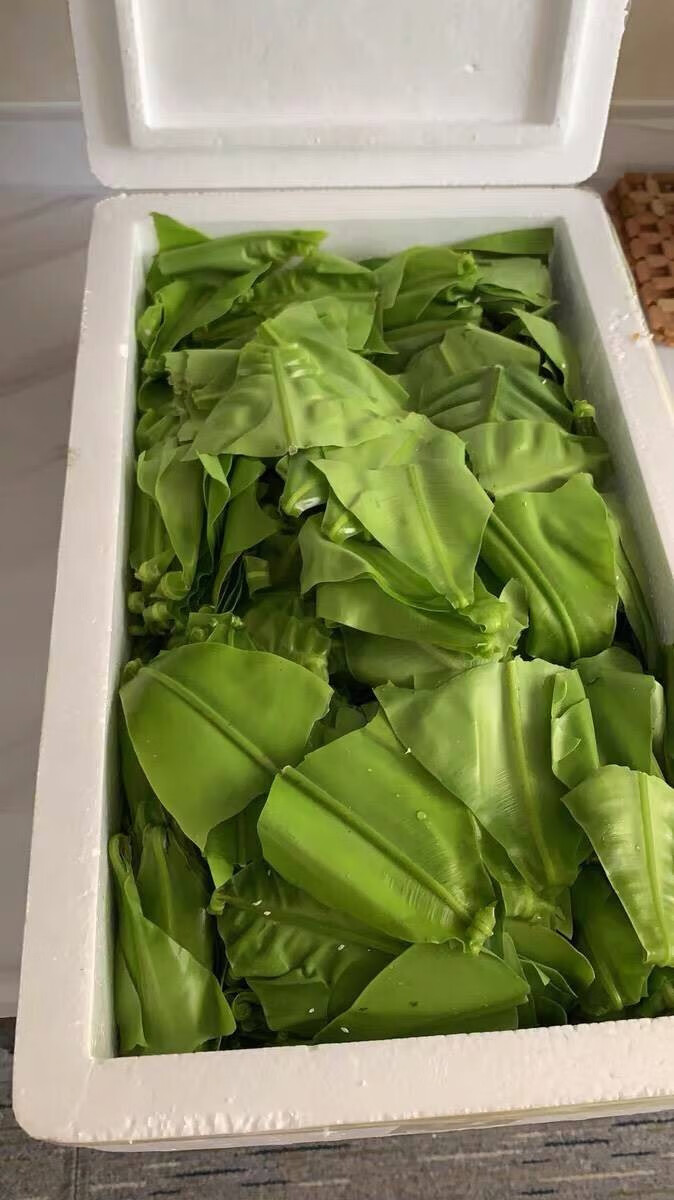 山苏叶 新鲜山苏菜鸟巢蕨西餐菜500g酒店特色菜食用山苏叶 3斤【图片