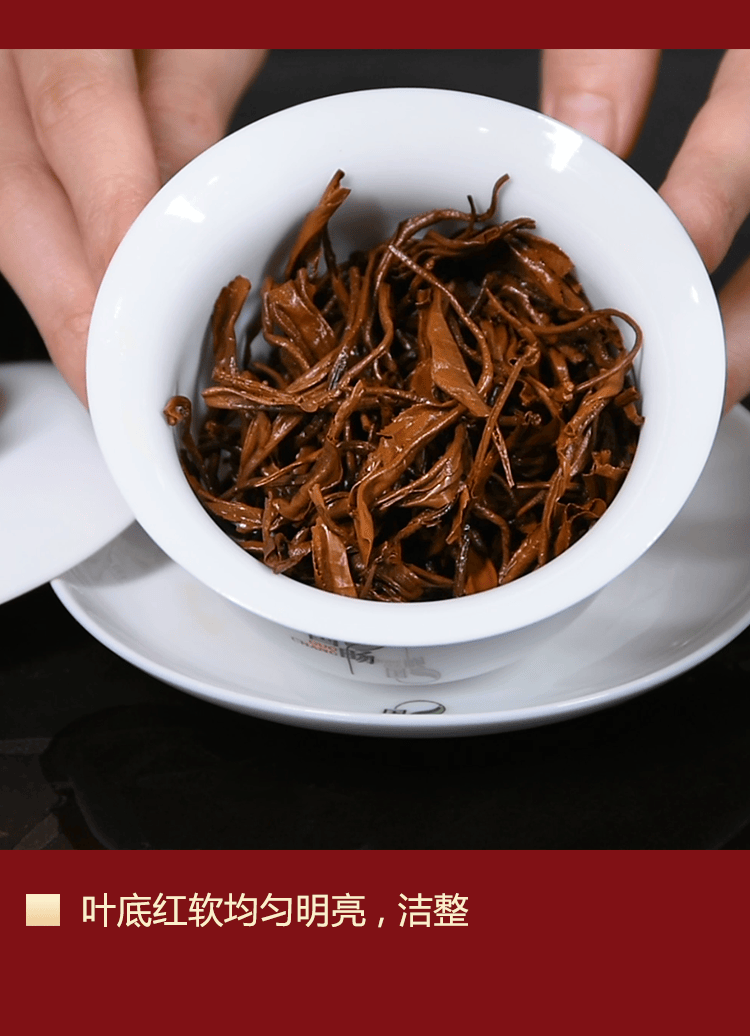 国畅广东茗茶英德红茶英红九号浓香型探花礼袋装250g