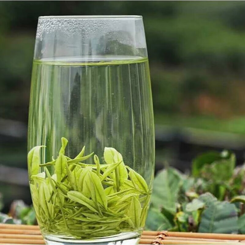 天目湖白茶溧阳白茶明前2021年新茶天目湖特产白茶江苏常州绿茶茗茶叶