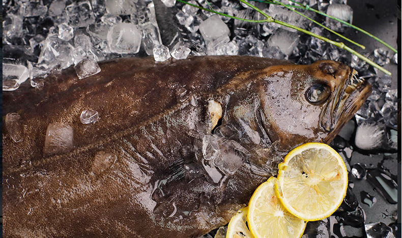 鲽鱼整条比目鱼带头去脏鸦片鱼深海鲽鱼新鲜鲽鱼冷冻水产4两8两条共四