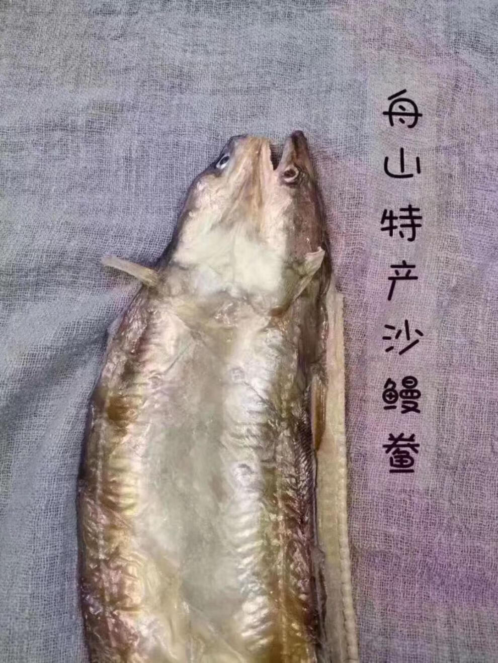 舟山沙鰻鯗油鰻幹船曬六成幹沙鰻整條鰻魚肉特產海鮮乾貨小沙鰻500克