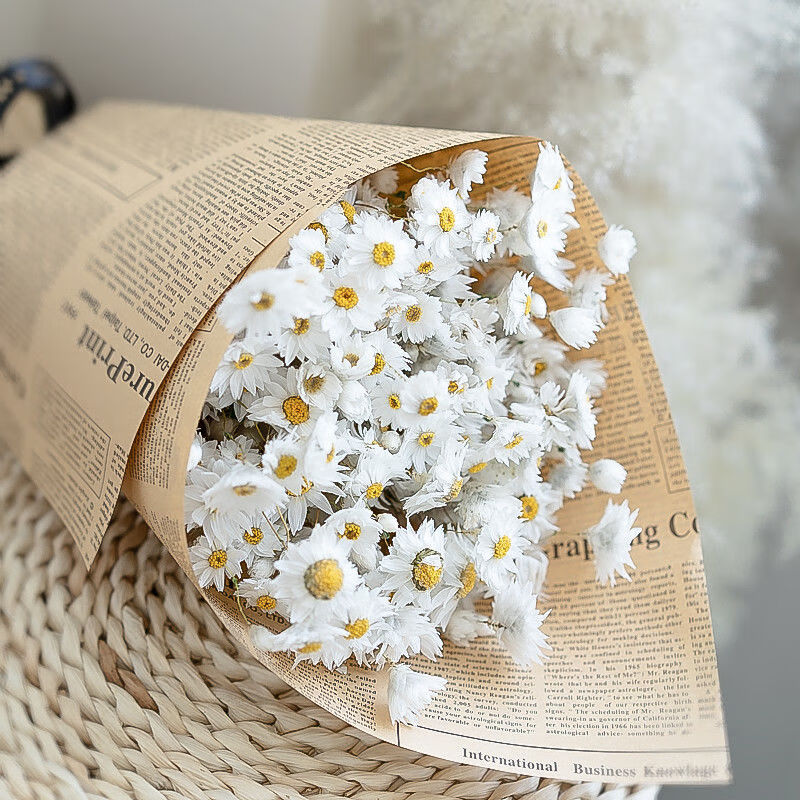 爱满aiman罗丹斯小雏菊干花花束鲁丹鸟文艺手捧花闺蜜礼物家居装饰