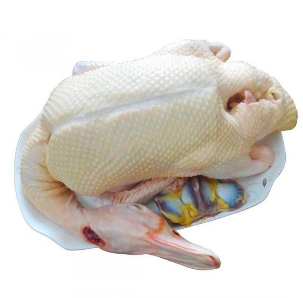 番鸭下单现杀新鲜番鸭农家散养现杀红头番鸭红脸白羽黑羽番鸭斓维品