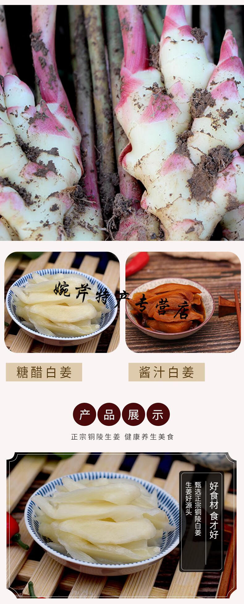1100g玻璃瓶铜陵生姜醋泡白姜 糖醋生姜嫩姜头姜仔酱汁姜芽泡姜片