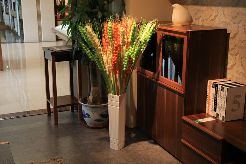 本店大麦为3串麦穗,穗长均为20cm,整体1.