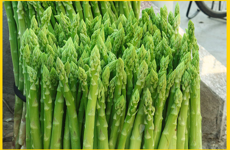 顺丰绿芦笋蔬菜新鲜农家露天种植营养丰富精选大笋自家自种全年发货2