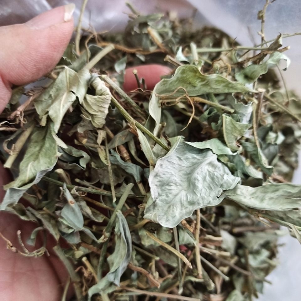 伟博晒干石南藤南藤丁公藤风石楠藤海风藤爬岩香500g 250【图片 价格