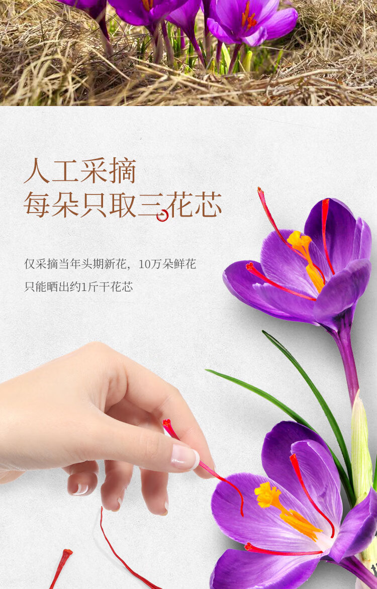 36a5c0a9bc5ad908.jpg