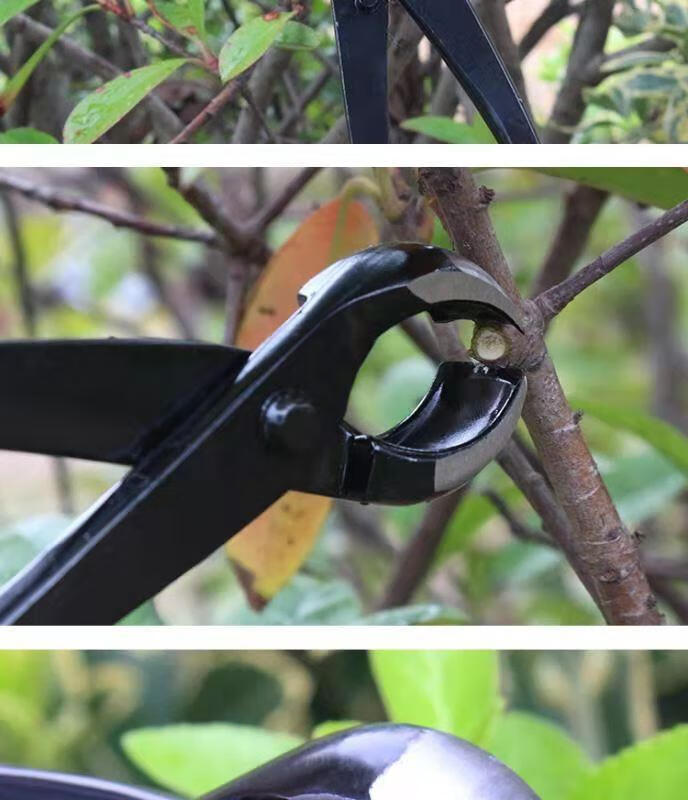 轻奢芊阙球节剪盆景修剪造型专用工具球剪球形剪修枝剪刀元馨套装树瘤