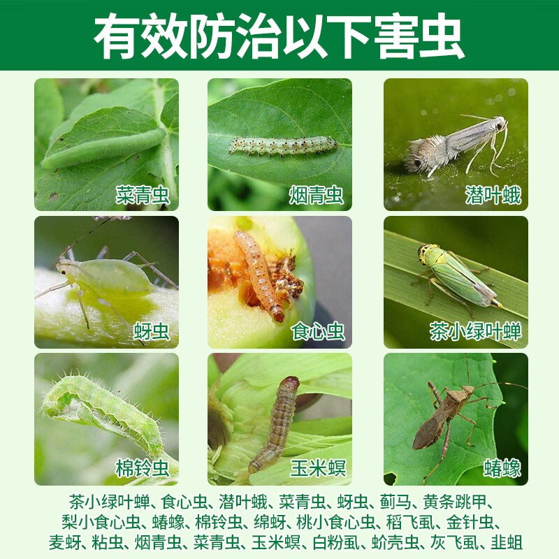 先正达阿立卡噻虫嗪高氯果树蓟马蚜虫白粉虱叶蝉菜青虫农药杀虫剂250