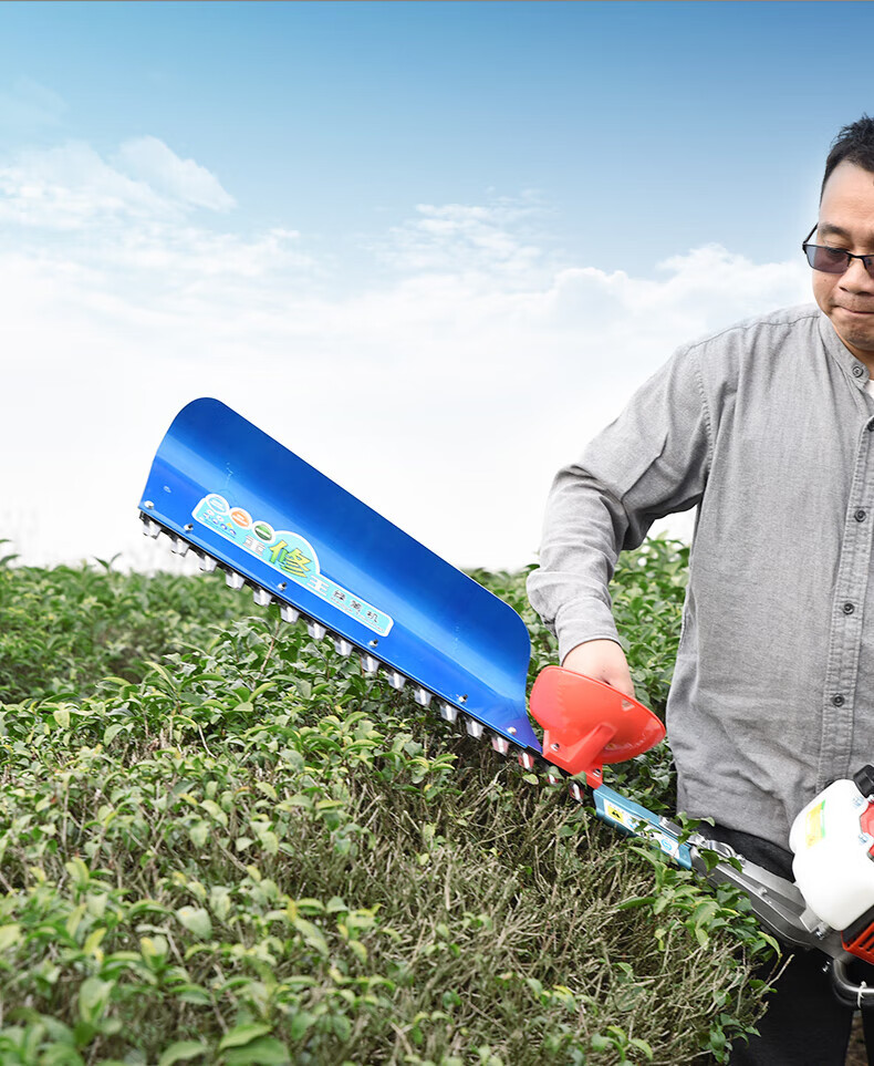 茶树修剪汽油绿篱机手持园林苗木采茶大功率粗枝篱笆剪重修王 型汽油