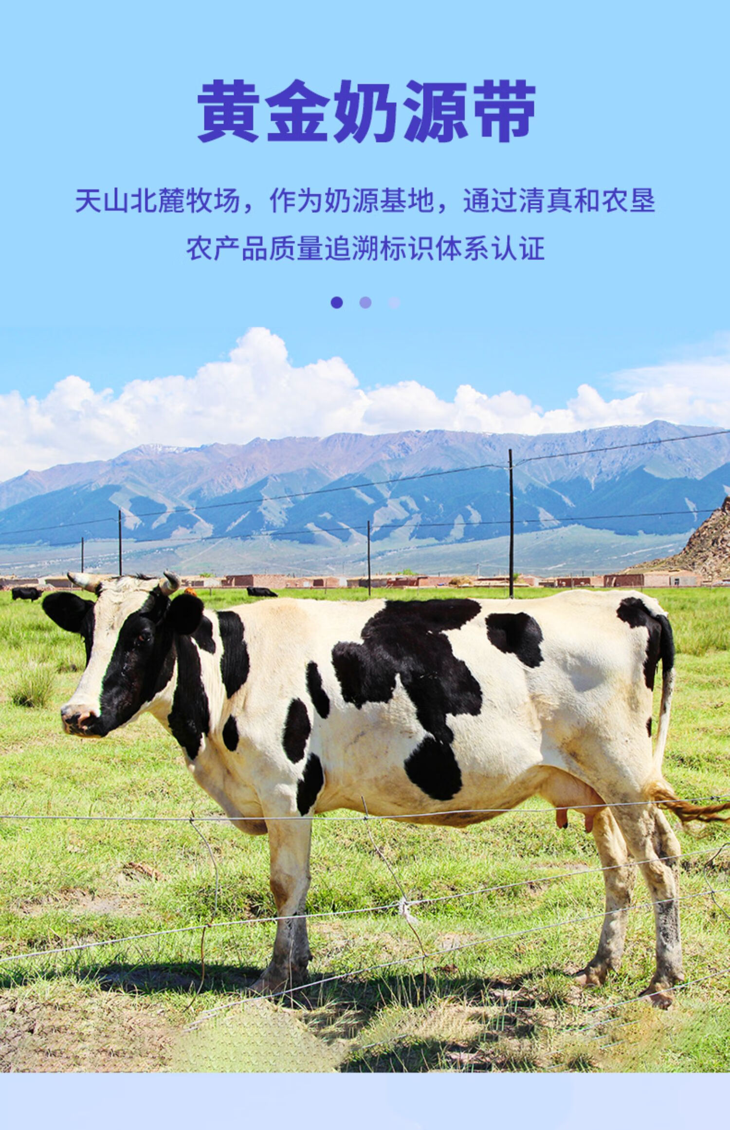 奶啤整箱300ml12罐装乳酸菌酸牛奶风味新疆特产网红饮料奶啤24罐