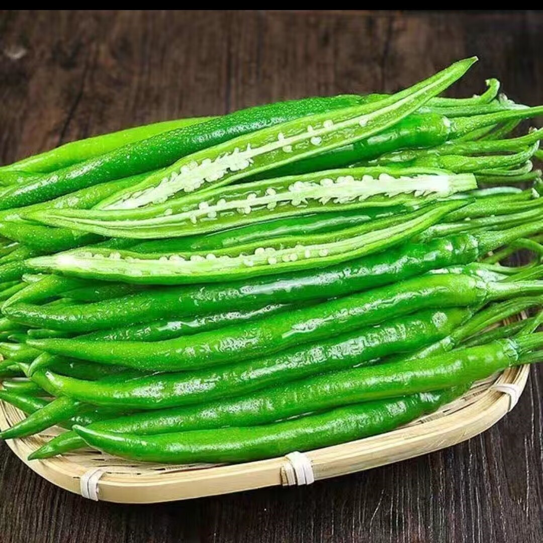 新鲜辣椒线椒二荆条香辣皮薄青椒杭椒蔬菜批发农家产地自种 现摘二