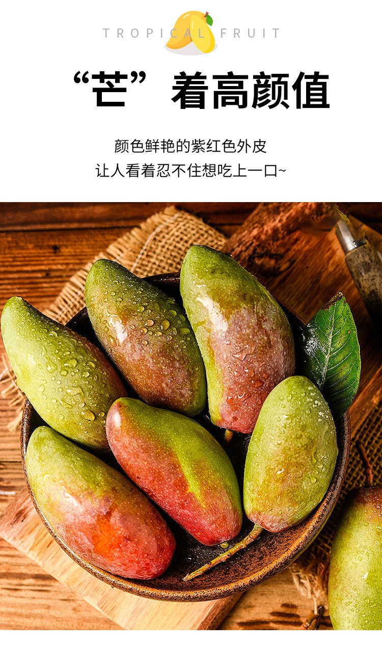 州珮生鲜广西百色贵妃芒果贵妃芒百色水果广西贵妃芒9斤特大果单果200