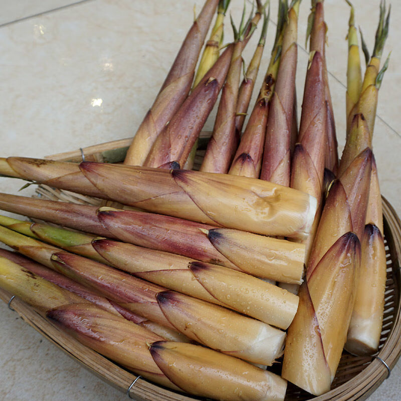 现货苦笋新鲜四川省乐山宜宾甜笋苦竹笋春笋嫩笋子带壳大笋7斤