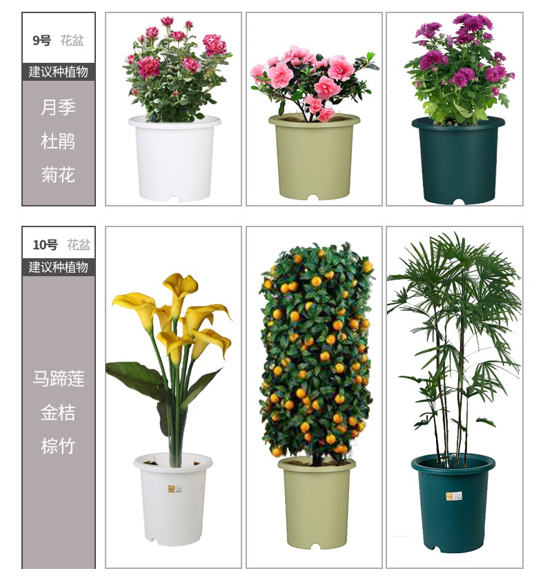 花盆加厚树脂控根盆deepot圆口绿萝绣球蔷薇月季塑料爱丽丝花盆sbk 10